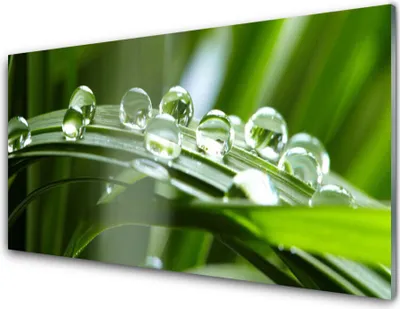 Produktbild von Küchenrückwand aus Glas 100x50cm Spritzschutz Gras Tautropfen Pflanzen