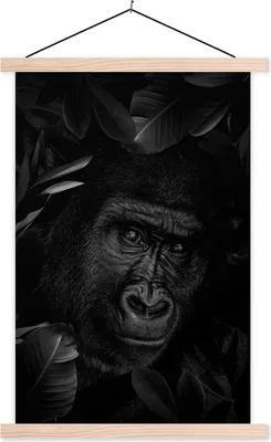 Produktbild von MuchoWow® Textilposter Botanischer Affe auf dunklem Hintergrund - schwarz und weiß 40x60 cm mit holzfarbenen Rahmen - Poster