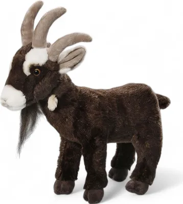 Obrázek produktu pro Carl Dick koza, čtyřrohá koza, cca 30 cm dlouhá, 30 cm vysoká 2932 Plyšová hračka, měkká hračka, plyšové zvířátko
