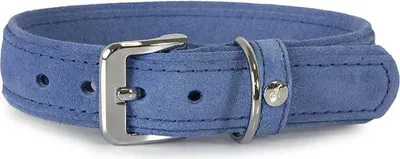 Produktbild von Das Lederband Hundehalsband Toronto Jeans, Länge: 30 cm