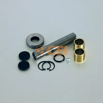 Image de Kit de réparation pivot Renault Mascott | 7485116241, 5000351583, 5005097022, 7420844699