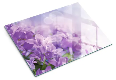 Imagen del producto de Tabla de cortar de vidrio - 40x30 cm - Tabla para la cocina - Vidrio templado - Protector para encimeras - Tabla para servir - Resistente al calor - Ideal para servir