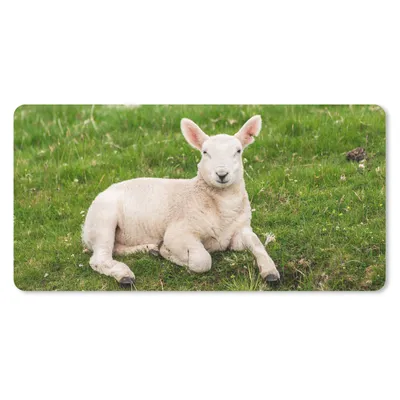 Produktbild von MuchoWow® Schreibtischunterlage Schafe - Tiere - Lamm 80x40 cm - XXL Mauspad - Gaming Mauspad