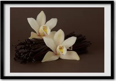 Produktbild von Bild - Bilder - Bilderrahmen - 70 cm x 50 cm - MDF-Rahmen, Wandkunst Vanilleschote