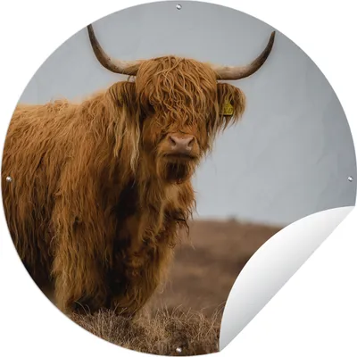 Produktbild von MuchoWow® Gartenposter Outdoor-Poster Rund Schottischer Highlander - Düne - Gras Ø 150 cm Gartendeko Rundes Poster draußen
