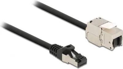 Image de Delock Câble réseau - RJ-45 (M) pour RJ-45 (F) keystone