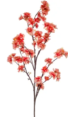 Produktbild von künstlicher Kirschblütenzweig Magnolie coral rot H. 120cm Emerald Kunstblumen