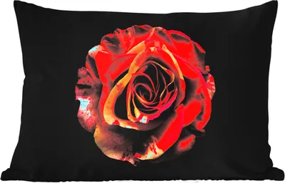 Produktbild von MuchoWow® Outdoor Kissen - Blume - Rose - Rot - Schwarz - 60x40 cm - Wetterfest - Lounge Kissen - Zierkissen - Kissen für Innenräume