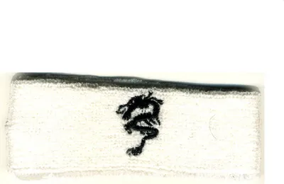 Produktbild von Stirnband bestickt - Drache - weiß