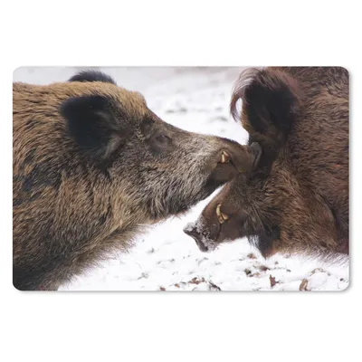 Produktbild von MuchoWow® Schreibtischunterlage Wildschwein - Tier - Schnee 60x40 cm - XXL Mauspad - Großes Mauspad