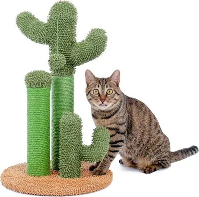 Immagine prodotto di Dispositivo di risalita per gatti