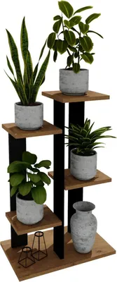 Image de raumhirsch : Supports à fleurs, escaliers à fleurs, colonnes de plantation, tabourets à fleurs, étagères multi-étages, escaliers pour plantes, décoration intérieure