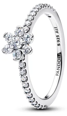 Produktbild von Funkelnder Blumenring für Damen, 925er Silber von PANDORA Timeless
