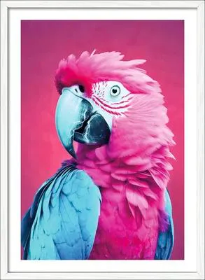 Produktbild von Gerahmtes Bild Pink Blue Parrot 53x73 cm