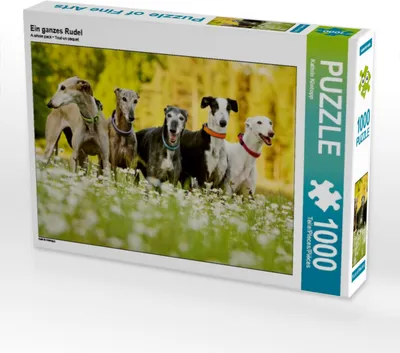 Produktbild von Calvendo Ein ganzes Rudel 1000 Teile Puzzle quer 640x480mm, Köntopp Kathrin; 7447176