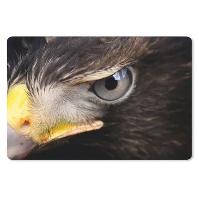 Produktbild von MuchoWow® Mauspad Mousepad Nahaufnahme eines Raubvogels 27x18 cm - Mousepads - Maus Mat - Pad - Mausunterlage - Büroartikel - Desk Matten