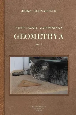 Zdjęcie produktu dla Niesłusznie zapomniana geometrya T.1 - Jerzy Bednarczuk