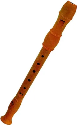 Obrázek produktu pro Generico Flétna s metodou a čističem 32 cm Orange Orange One Size