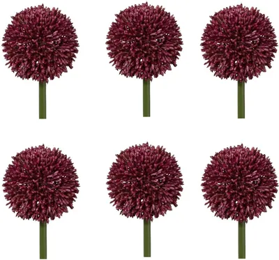Produktbild von 6er Set künstliche Allium Kugelblüte rot H. 64cm Blüte D. 11cm GASPER Kunstblume