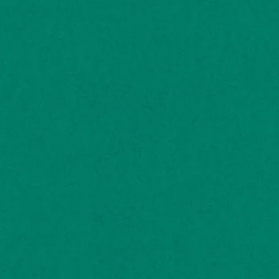 Obrázek produktu pro Folia 87054 Transparentní papír - zelený, 50,5 cm x 70 cm, 115 g/m²