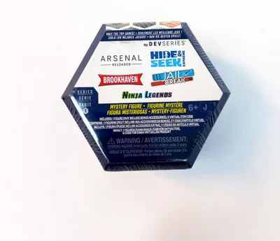 Obrázok produktu pre Záhadná postava Robloxu