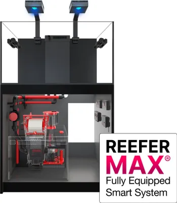 Produktbild von Red Sea Reefer G2+ 250 MAX Aquariumset, Schwarz