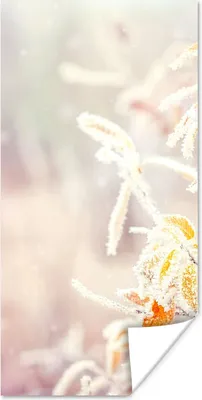 Produktbild von MuchoWow® Poster Winter - Äste - Schnee - Natur 75x150 cm - Dekoration für die Wände