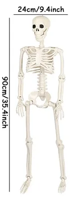 Zdjęcie produktu dla Szkielet, ruchoma figura, dekoracja na Halloween, 90 cm