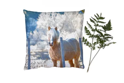 Produktbild von MuchoWow® Zierkissen Sofakissen Wohnzimmer Dekokissen 60x60 cm Pferd - Winter - Schnee - Sitzfläche - Foto Polster