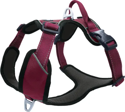 Produktbild von Petlando Outdoor Geschirr berry M