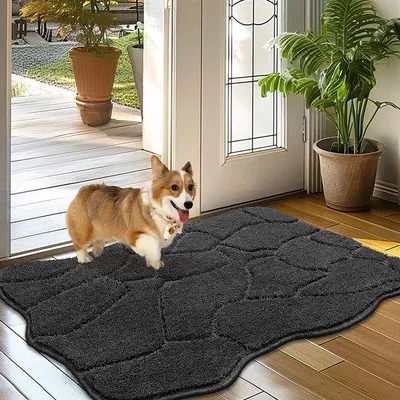 Immagine prodotto di Tappetino per interni Ibbenzoa® 60 x 90 cm – sottile tappetino per porta, antiscivolo, lavabile, assorbente