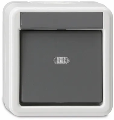 Produktbild von GIRA 010630, Grau, 250 V, 10 A