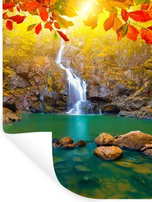Produktbild von MuchoWow® Wandtattoo Wandsticker Wandaufkleber Steine - Baum - Wasserfall - Herbst - Rot 60x80 cm Selbstklebend und Repositionierbar - Repositionierbar - Wasser abweisend