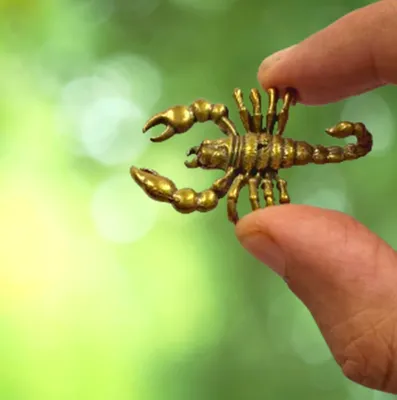 Messingfigur Skorpion, gold, 4,3x3,8x0,8 cm, Sammlerstück