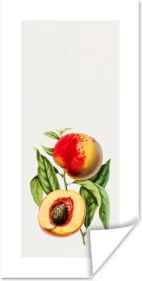 Produktbild von MuchoWow® Poster Pfirsich - Obst - Lebensmittel 40x80 cm - Dekoration