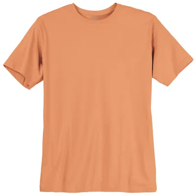 Produktbild von Redfield Übergrößen Basic T-Shirt orange Tom