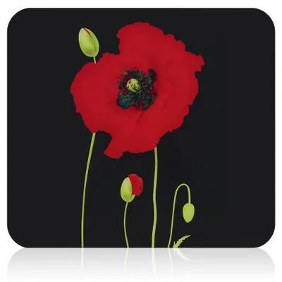 Produktbild von Herdabdeckplatte POPPY, 56 x 50 cm, Glas, Maximex