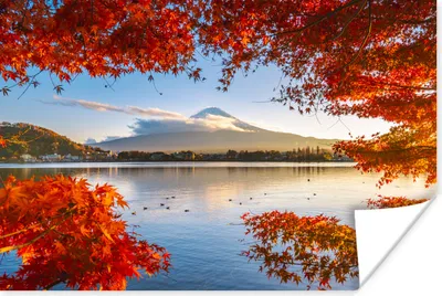 Produktbild von MuchoWow® Poster Japanischer Ahorn mit Blick auf den Berg Fuji 90x60 cm - Schlafzimmer