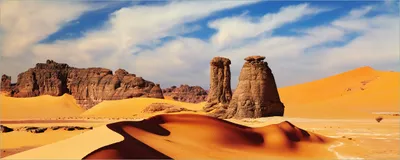 Produktbild von Wallario Poster - Felsen und Sand in der Sahara Wüste, Kunstdruck Größe: 80 x 200 cm