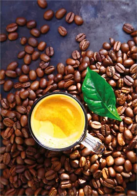 Produktbild von Wallario Poster - Kaffee und Bohnen, Kunstdruck Größe: 70 x 100 cm
