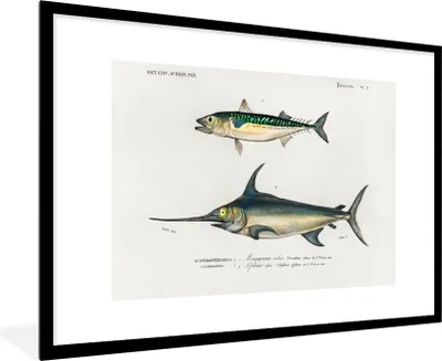 Produktbild von MuchoWow® MuchoWow® Gerahmtes Poster Fisch - Vintage - Farbe 90x60 cm - Poster mit zchwarzem Bilderrahmen - Wanddekoration - Fotos
