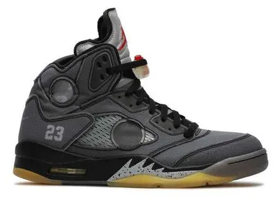 Image de Air Jordan 5 Retro Off-White Muslin - EU : 40