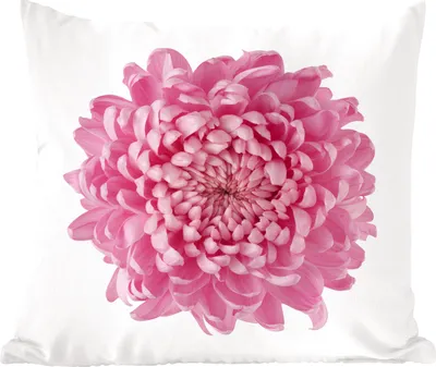 Produktbild von MuchoWow® Zierkissen Sofakissen Wohnzimmer Dekokissen 40x40 cm Rosa Chrysantheme - Foto Kissen - Schlafzimmer Dekoration