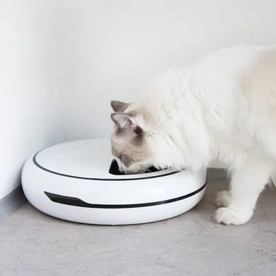 Produktbild von Navaris Automatischer Futterautomat mit Timer - 1,6 L Futterspender bis zu 4 Mahlzeiten am Tag - akustische Benachrichtigung - für kleine Hunde Katze