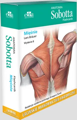 Produktbild von Anatomia Sobotta Flashcards Miesnie