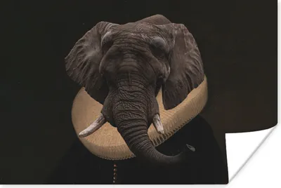 Produktbild von MuchoWow® Poster Alte Meister - Elefant - Kunst 90x60 cm - Schlafzimmer
