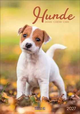 Produktbild von Hunde 2027
