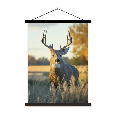 Produktbild von MuchoWow® Textilposter Hirsche - Gras - Herbst - Geweih - Natur - Tiere 120x160 cm mit schwarzem Rahmen - Magnetischer