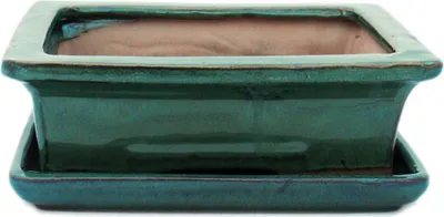 Image de bol bonsaï avec soucoupe taille 3 - vert - carré - modèle g29 - l 18cm - l 13cm - l 13cm - h 6cm