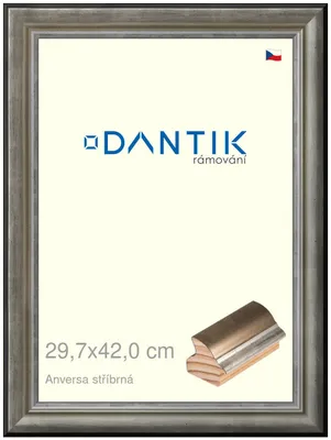 Zdjęcie produktu dla Ramka DANTIK 29,7x42 | ANIVERSA srebrna (Plexi Clear)
